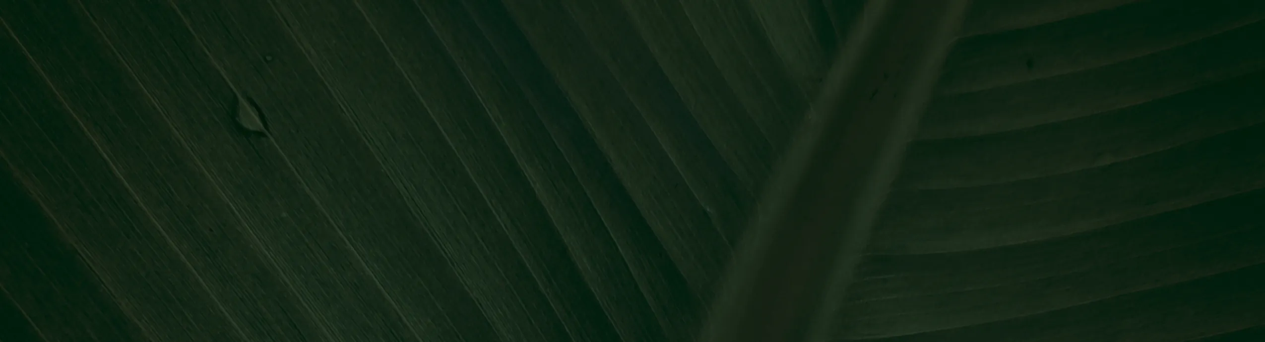 Outdoor Surveillance Camera 4G SIM Card Wireless Cameras Motion Detection 3 Lens PTZ CCTV Auto Tracking 2 Way Video Surveillance